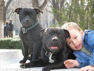 dogs and kids with pet sitter in snellville,ga