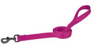 dog trainer favorite leash for pet sitters