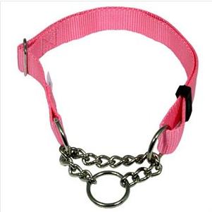 dog trainer favorite collar