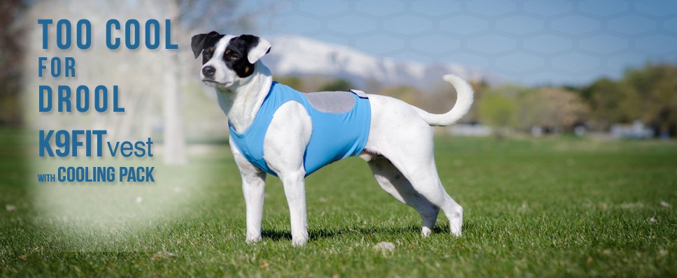 Cooling dog vest